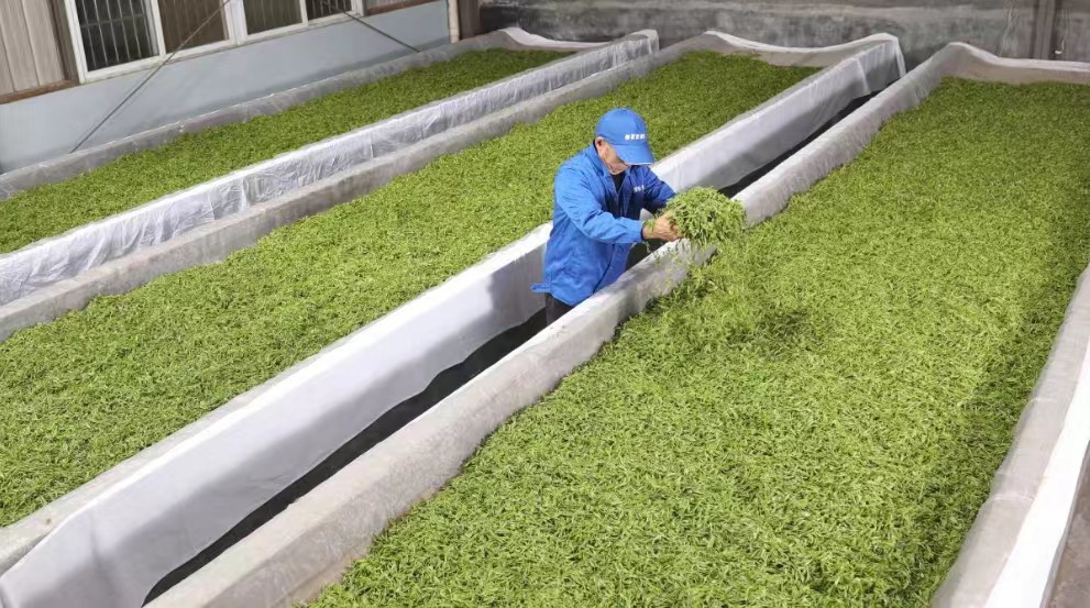 Step 2: Quality Inspection  