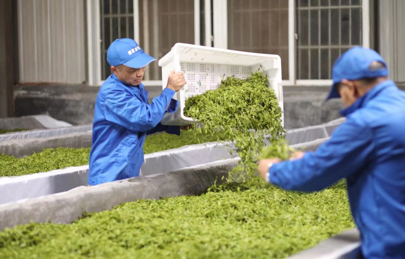  Step 1: Leaf Selection  